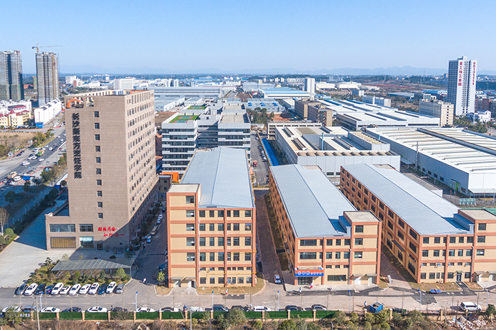 �����F(xi��n)�ڌW(xu��)ʲô���g(sh��)����