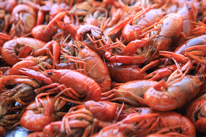 新東方烹飪學(xué)校的小吃味道