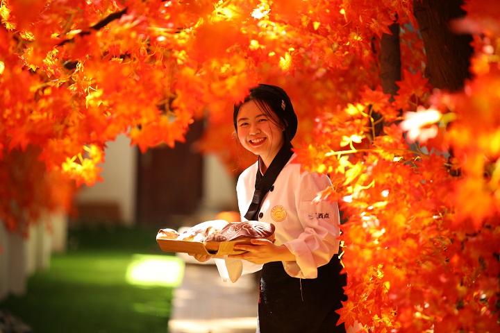 �W(xu��)���c(di��n)