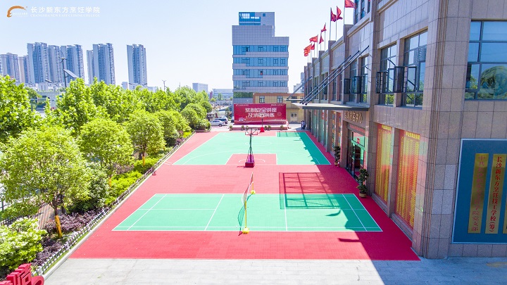 五五分流是什么