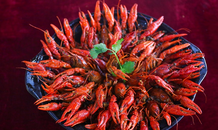 �L(zh��ng)ɳ�|���W(xu��)�u�˶����X