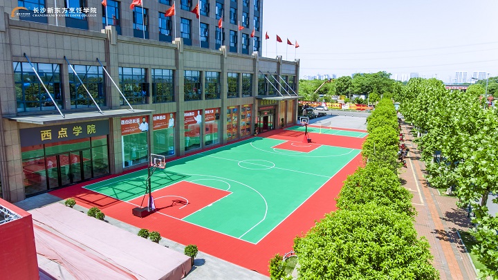 長沙新東方學什么專業(yè)