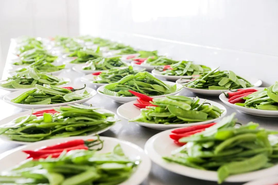 餐飲小白從哪里開始學(xué)